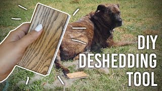 How to Make Dog Deshedding Brush  DIY [upl. by Nellak]