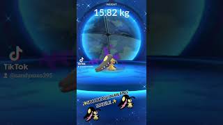 SHOWCASE AVAILABLE MAWILENUEVA EXHIBICION MAWILE pokemonMAWILE [upl. by Rehpotsrik843]