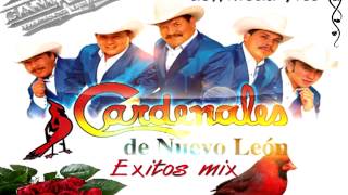 cardenales de nuevo leon mix exitos [upl. by Strickland727]