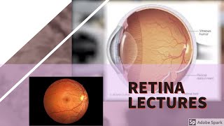 RETINA LECTURE 4 DIABETIC RETINOPATHY in detail with all important stuff [upl. by Firooc]