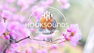 HookSounds  Springtime Waltz [upl. by Pleione]