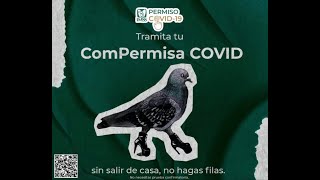 “ComPermisa Covid” la hábil estrategia del IMSS para tramitar la incapacidad laboral [upl. by Mailliwnhoj]