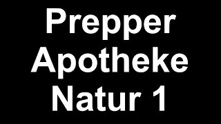 Prepper Apotheke Natur 1 [upl. by Attenohs]