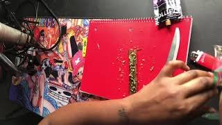 How to roll a blunt   EXTREME BEGINNERS EDITION [upl. by Toomay]