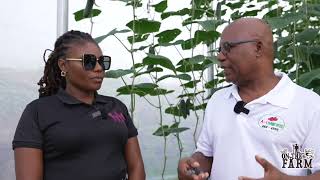 OTF On The Farm  Hurricane Preparedness Tips for Greenhouses [upl. by Raddi]