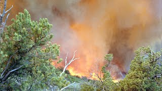 1994 South Canyon Fire on Storm King Mountain [upl. by Nogem]