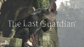 LIBERANDO A TRICO  THE LAST GUARDIAN 1 [upl. by Nosiddam177]