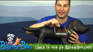 EzyDog Convert Dog Harness [upl. by Nhoj]