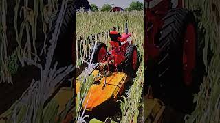 Mowing with a Farmall 560 farmall51 [upl. by Grinnell]