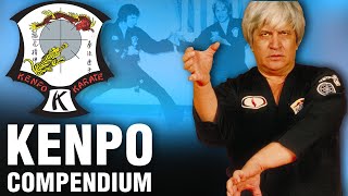 Kenpo Past Present Future  Livestream Playlist [upl. by Hallutama981]