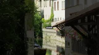 Colmar The Hidden FairyTale Town of France ytshorts shorts [upl. by Yeorgi15]