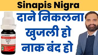 Sinapis nigra 30 benefits in hindi  Sinapis nigra 200 uses in hindi [upl. by Dorran]