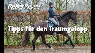 Tipps für den Traumgalopp [upl. by Jeggar]