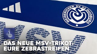 adidas x ZebraStreifen 2024  MSVereint  ZebraTV  26072024 [upl. by Noimad937]