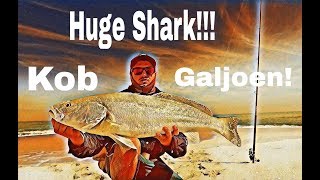 ZLF Fishing De Hoop part 3  Galjoen kob amp huge shark action [upl. by Neeliak888]