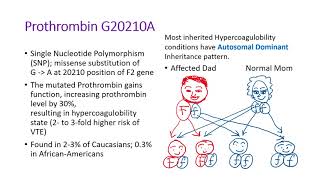 Hematology in 10 min Hypercoagulobility State and application [upl. by Ahsikrats]