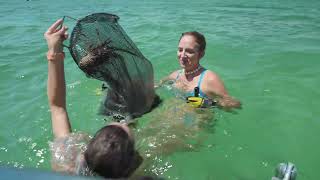 How to Catch a Lobster in the Florida Keys  Discover Florida Channel [upl. by Airamanna39]