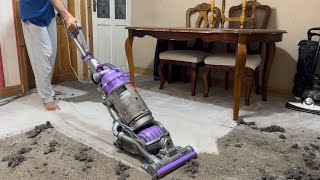 Dyson DC15 Animal The Ball vacuum cleaner  Performance Testing [upl. by Howarth179]