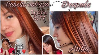 CABELLO COBRIZO🔥IGORA 877 🔥 SIN DECOLORAR  Paso Algo Mientras Grababa💔 Tatiana Vargas Ktv [upl. by Nerrak669]