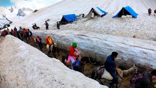 amarnath yatra 2024 latest update  amarnath yatra update today  amarnath yatra 2024 update [upl. by Sophia]