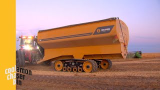 Coolamon Chaser Bin [upl. by Lonyer]