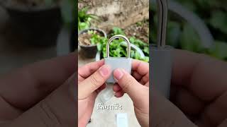 Smart Fingerprint Lock shortvideo [upl. by Annyrb]