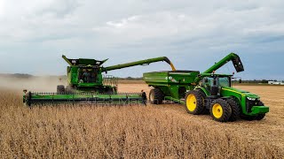 First 2023 Soybeans to catch getting Harvested with a John Deere S780 Combine [upl. by Bogusz]