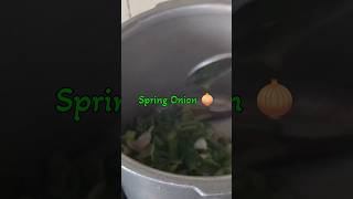 Delicious Spring Onion Recipes rawrecipe [upl. by Negrom]