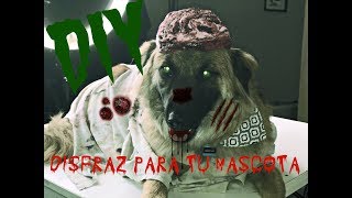 DIY Disfraz de ZOMBIE para tu mascota Facil [upl. by Ahsiner]