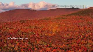 Les couleurs dautomne au Québec  un spectacle à ne pas manquer [upl. by Dalia680]