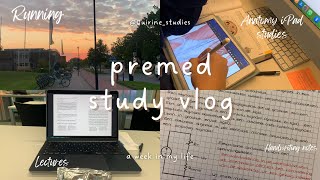 PREMED STUDY VLOG  productive week  anatomy iPad studies aesthetic notes double degree good food [upl. by Uoliram842]