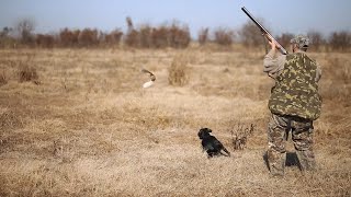 Fogón Amigo  Cacería de perdiz en Santa Clara de Saguier [upl. by Atirahc]