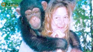 Travis the Chimp Attack Video Viral On Social Media  Who Was Charla Nash  Travis The Chimp Victim [upl. by Coltun821]