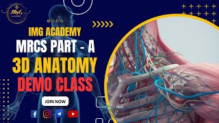 MRCS Part 🅰️ Anatomy 3D Demo Class  High Yield [upl. by Aerdnahc]