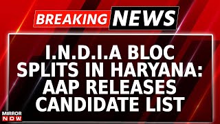 Haryana Assembly Poll AAP Reveals List Of 20 Candidates INDIA Bloc Splits Amid Congs 3 Seat Offer [upl. by Litnahs425]