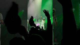 Yachtley Crew live HD Escape Piña Colada song Rupert Holmes cover  Rialto Theater 5324 [upl. by Ahserak]