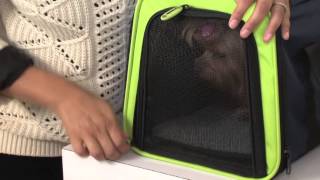 Petmate See amp Extend travel carrier [upl. by Enimsaj90]