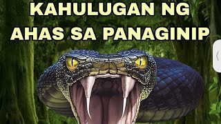 KAHULUGAN NG AHAS SA PANAGINIP [upl. by Aihsirt]