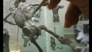 Super Sculpey Ecorche Figurine SculptingPart 0934 [upl. by Harvey233]