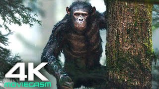 Kingdom Of The Planet Of The Apes 2024 4K UHD  New Upcoming Movies [upl. by Eseela]