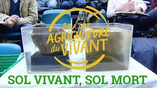 Sol Vivant Sol Mort  Pourquoi il faut nourrir les sols et arrêter de les travailler [upl. by Ivets509]