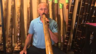 How to play the didgeridoo Lesson 8 Cheek movement with rhythm [upl. by Assiroc]