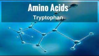 Special Amino Acid Metabolism lecture 5 [upl. by Vinaya671]