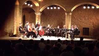 Festival International de Musique de Salon [upl. by Lapham43]