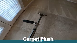 Dirty Carpet Traffic Lane Cleaning  asmr carpetcleaning carpet Car Interior cardetailing [upl. by Eicam840]