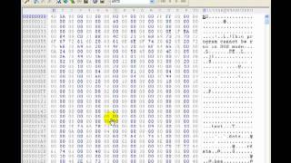 Hex Editor Password Hack with demonstration [upl. by Veats]