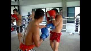 Sittichai Sitsongpeenong and Moses Sangtiennoi boxsparring [upl. by Marchelle395]