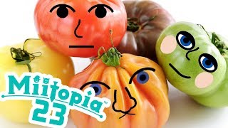 TRIPLETTE DE TOMATES  MIITOPIA 23 [upl. by Grete984]