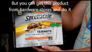 Termite Detection amp Killing Part 1 [upl. by Agan]