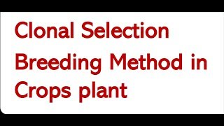 Clonal Selection ।। Breeding Methods in crops plant [upl. by Yate]